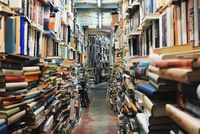 Der Weltbildungstag: Anlass, sich einmal Gedanken um die berufliche Zukunft zu machen (Foto: Unsplash, Glen Noble).