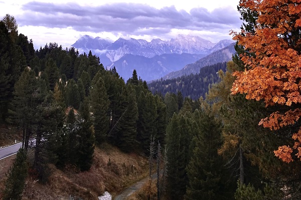 Der Herbst bietet neben Gemütlichkeit auch einige chemische Vorgänge.
